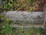 image of grave number 954132
